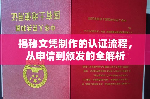 元阳揭秘文凭制作的认证流程，从申请到颁发的全解析